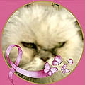 Myriam H.