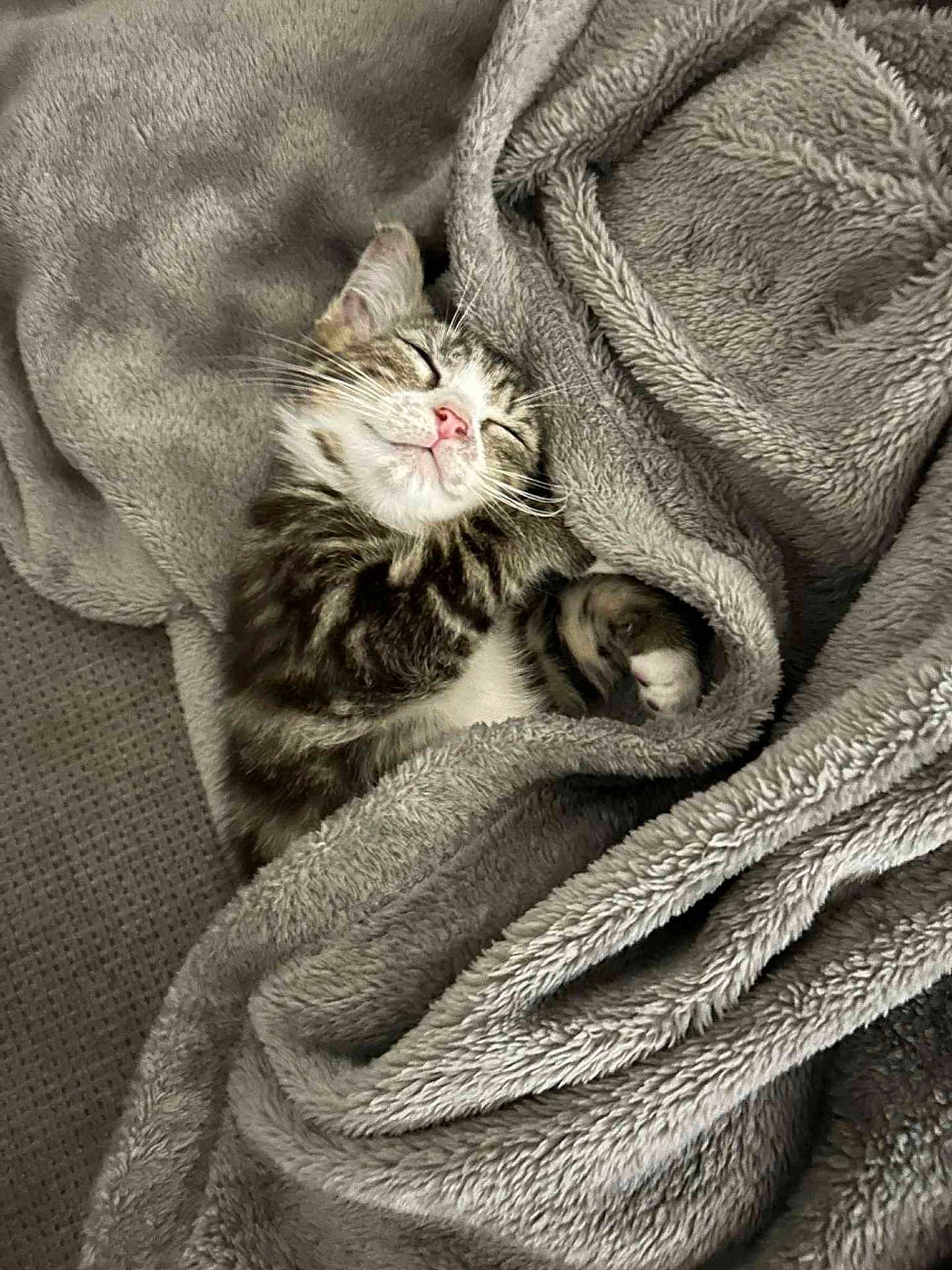 Bella
