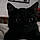 Salem
