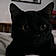 Salem