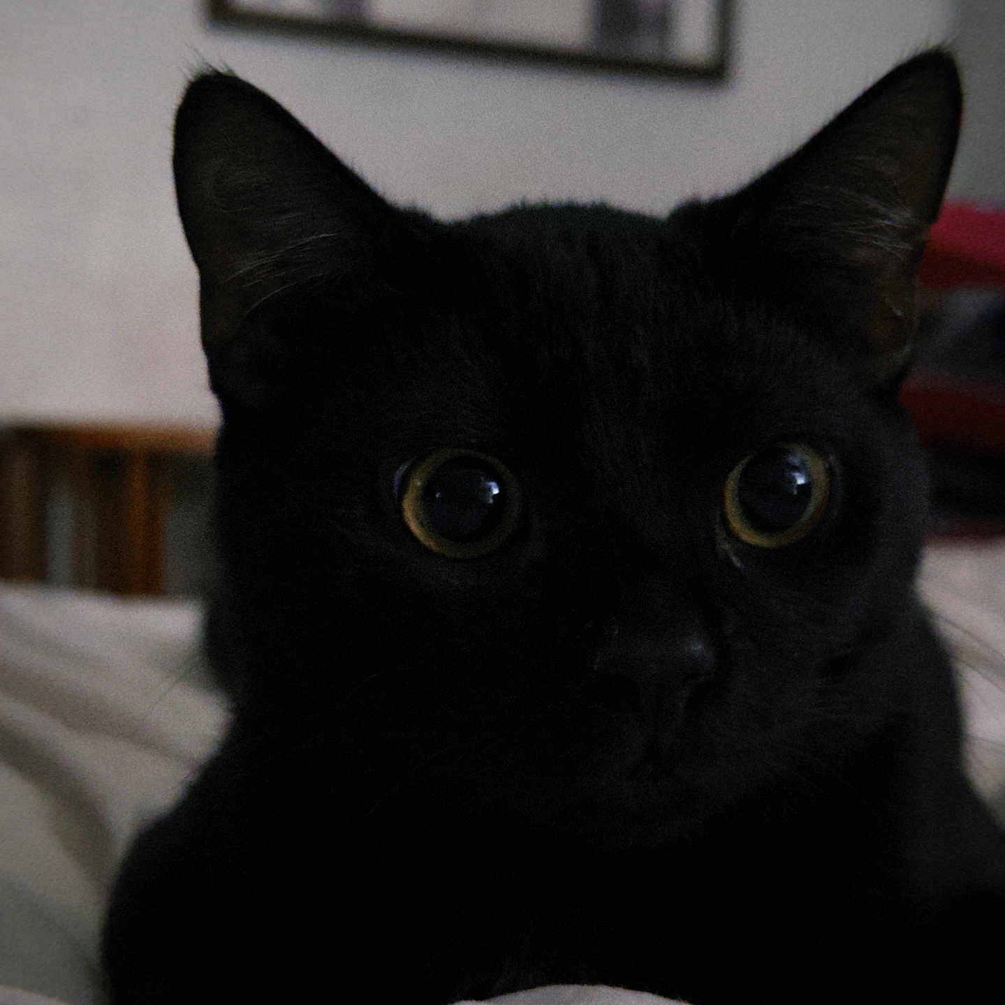 Salem
