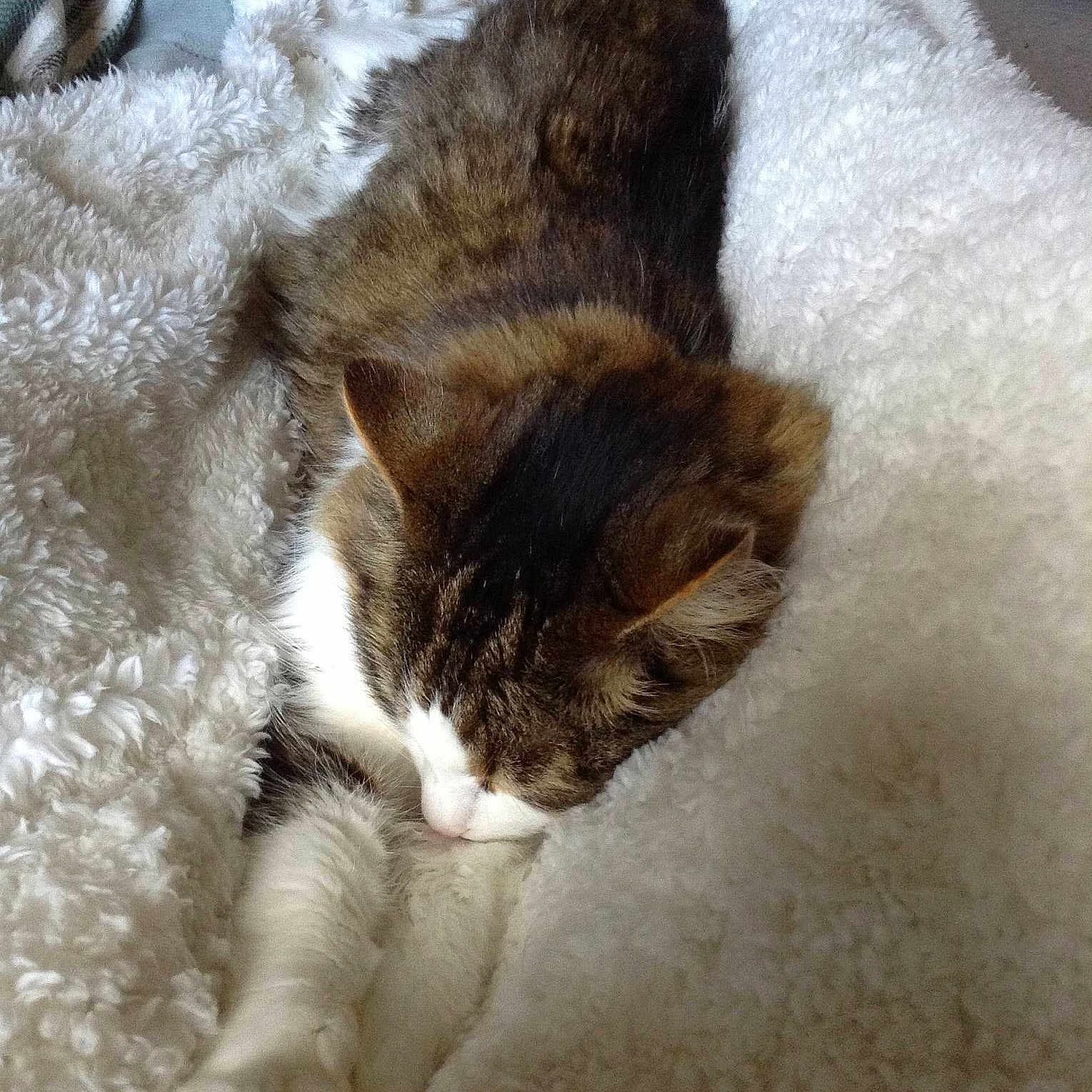 Whistler joined the competition — help win amazing prizes!