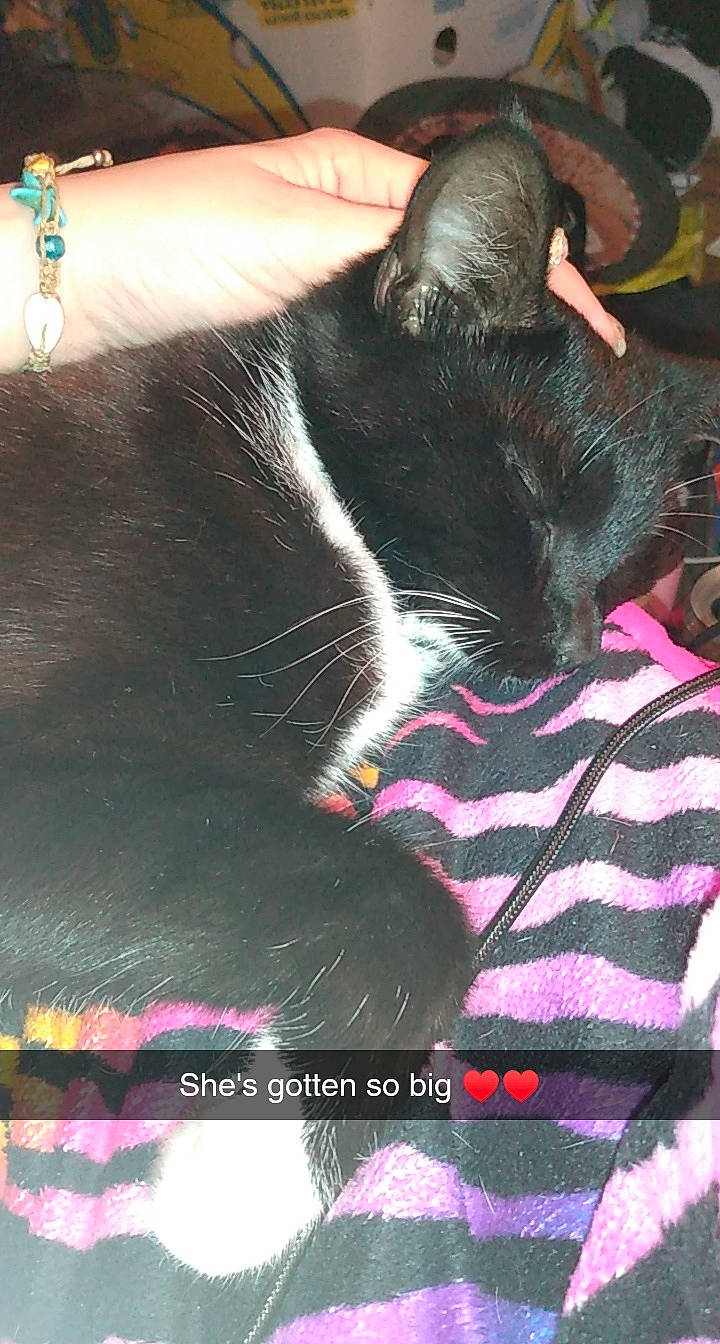 Kat is registered to the contest to win money with this photo: temple