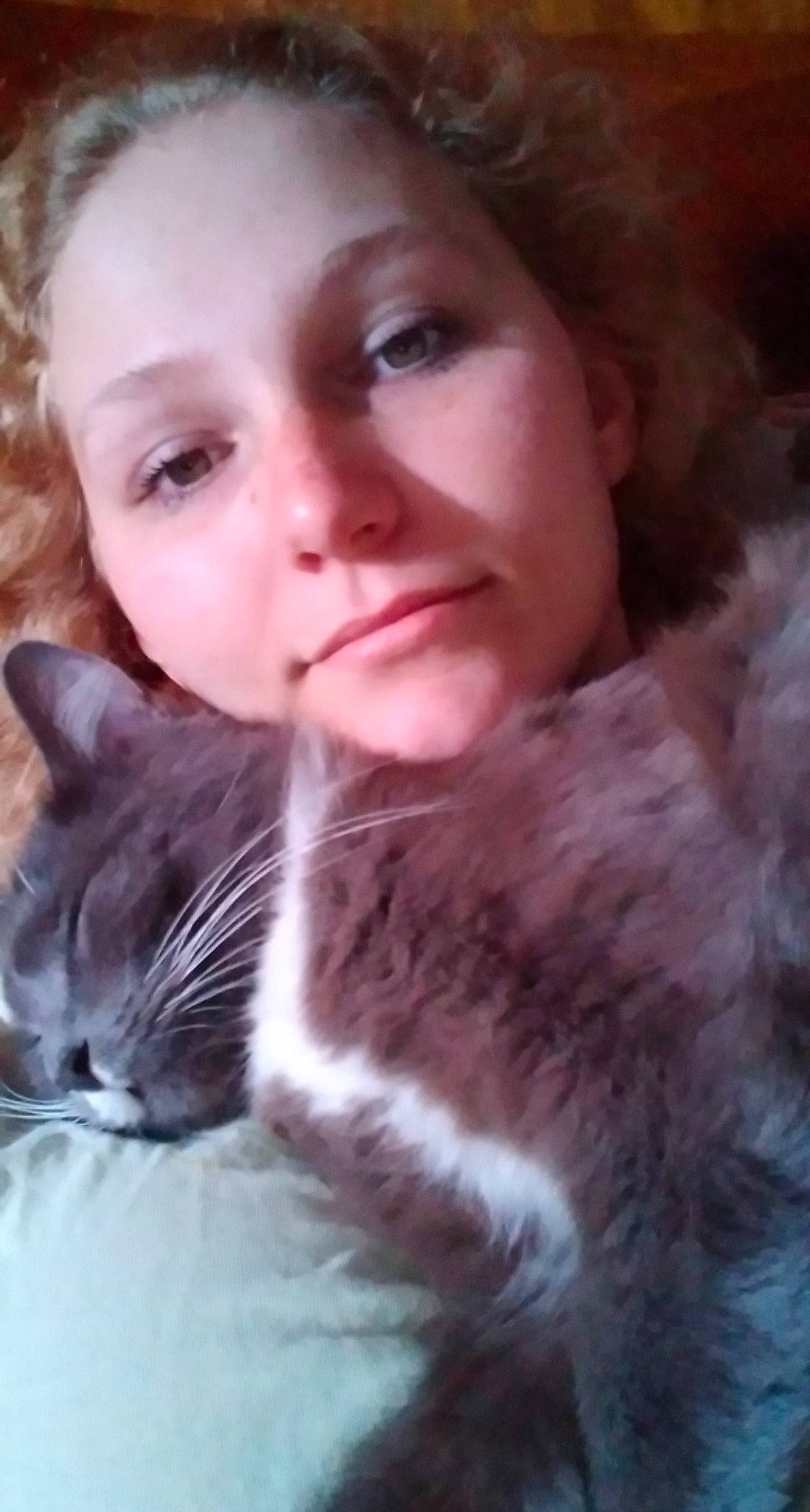 Dabs is registered to the contest to win money with this photo: brown_hair, cat, cheek, child, ear, eye, face, felidae, fur, hair, kitten, lip, long_hair, nose, photography, selfie, skin, small_to_medium_sized_cats, snout, whiskers