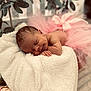 newborn, baby, sleeping, tutu, pink, blanket, soft, flower, greenery, peaceful, infant, cute, resting, portrait, closeup, skin, hand, face, cozy, delicate