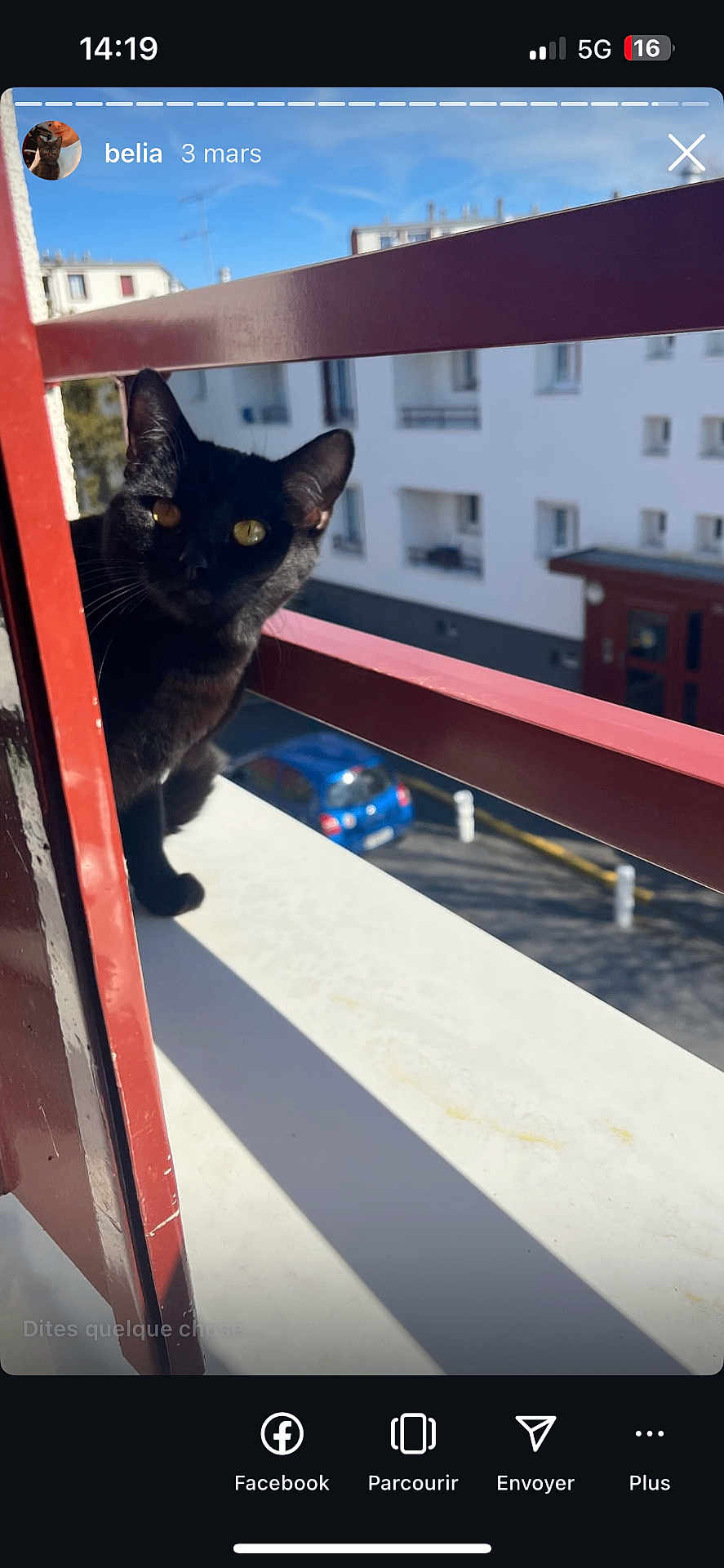 Bélia