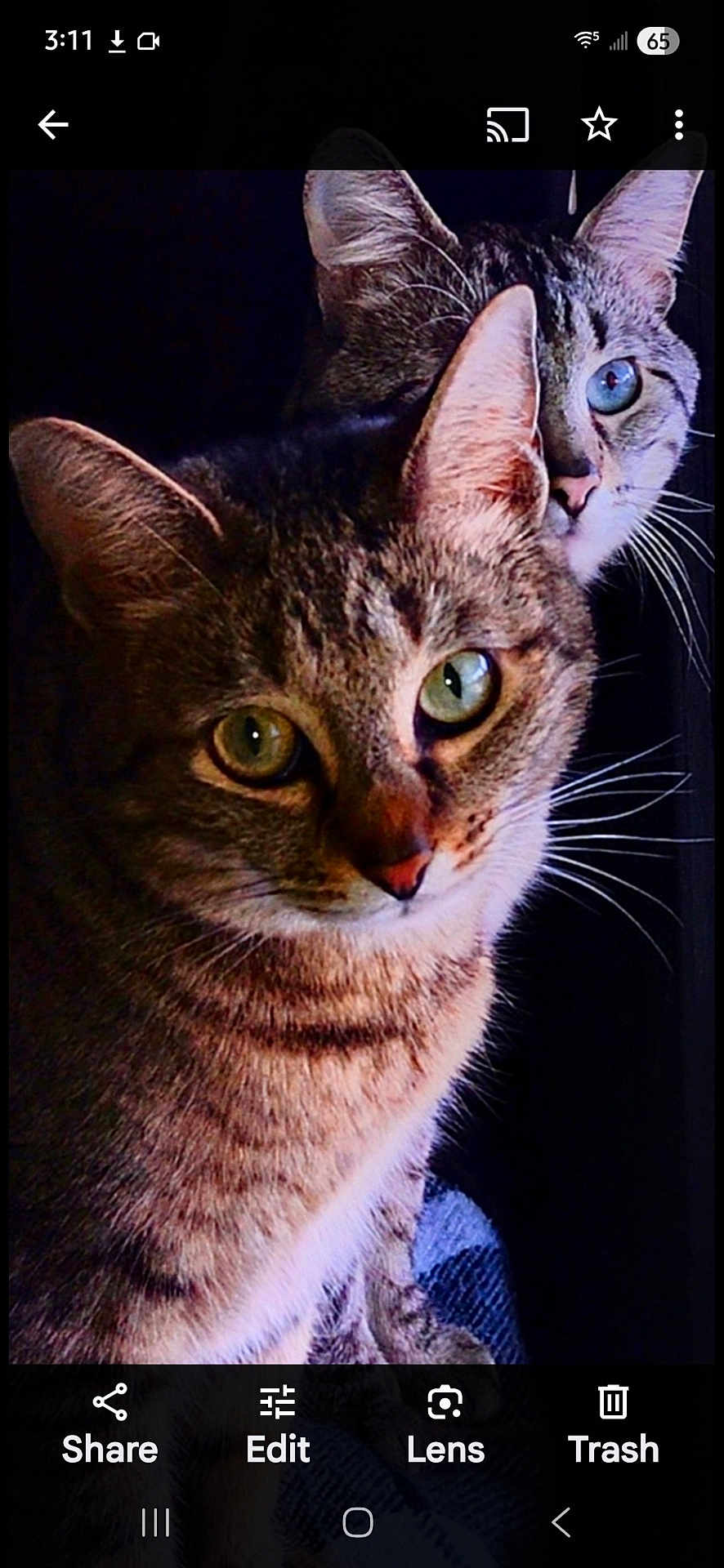 Babygirl N Puss