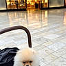 Olaf is registered to the contest to win money with this photo: