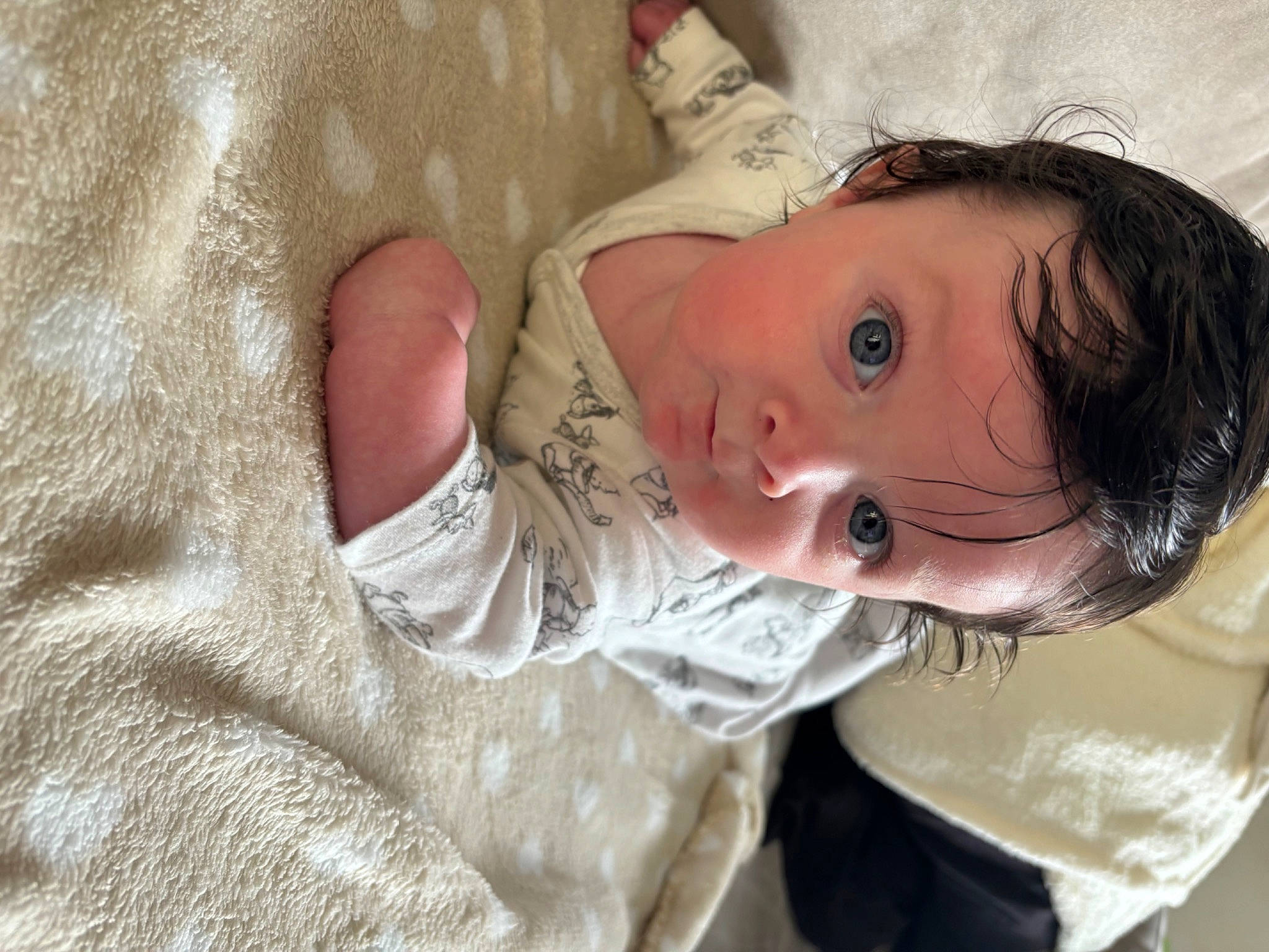 Lizio a rejoint le concours — aidez-le/la à gagner de superbes lots ! arm, baby, baby_toddler_clothing, cheek, child, comfort, dress, ear, eye, happy, iris, linens, lip, nose, person, skin, sleeve, smile, toddler, tree