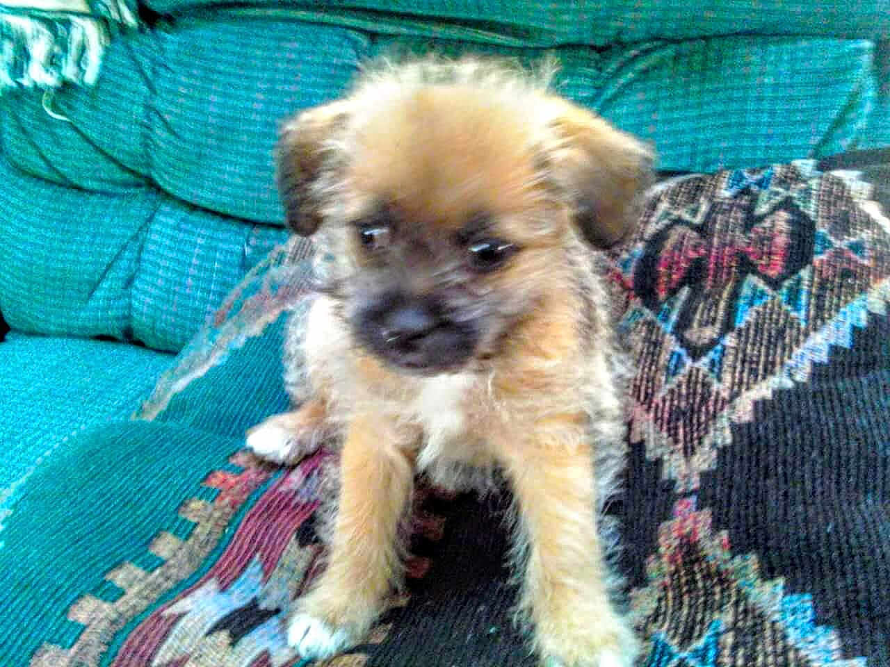 Zoey