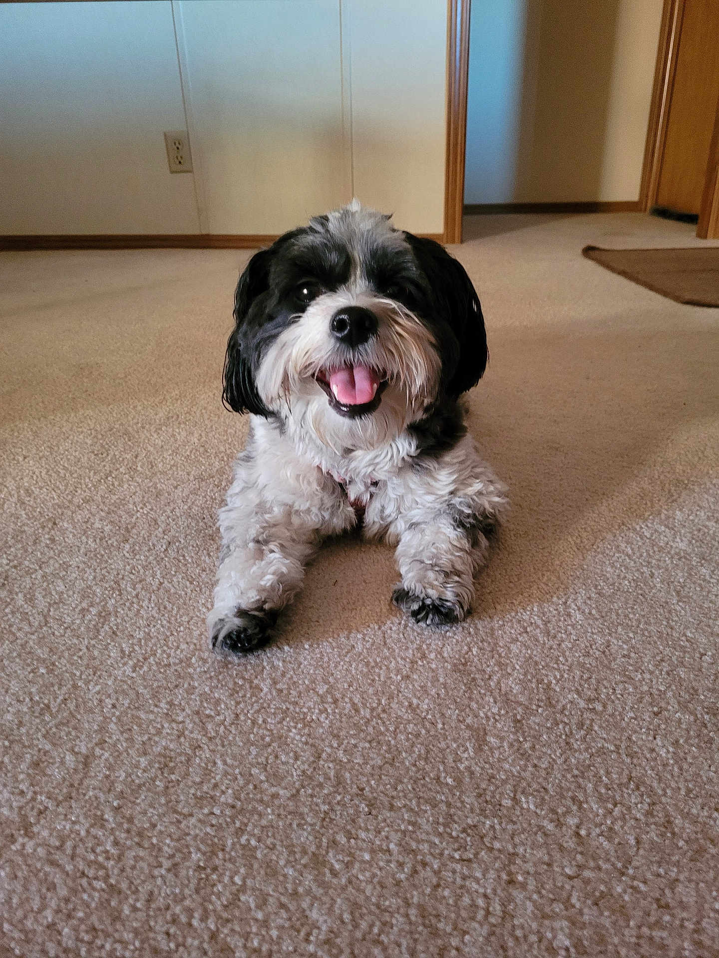 Lucy