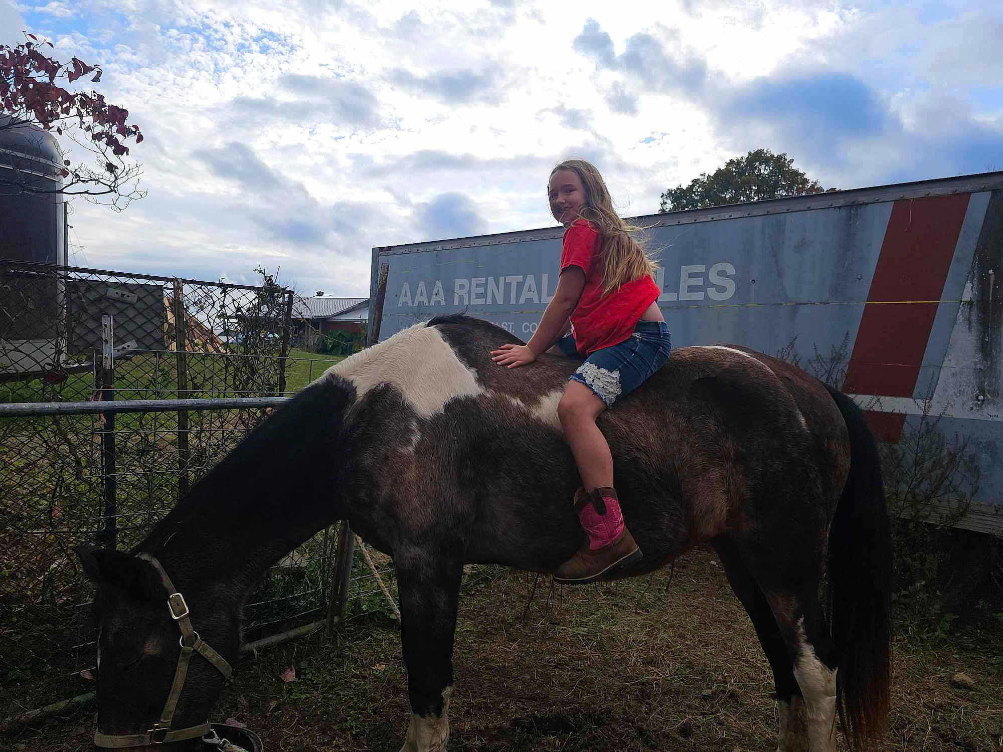 Laila joined the competition — help win amazing prizes! bit, bridle, cloud, english_riding, equestrian_sport, equestrianism, grass, halter, horse, horse_supplies, horse_tack, joy, landscape, mane, person, plant, recreation, rein, saddle, sky