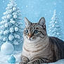 Knut participe au concours pour gagner de l'argent avec cette photo : cat, tabby_cat, snow, winter, christmas_tree, ornaments, blue, holiday, festive, animal, pet, frost, snowfall, fur, whiskers, relaxed, cute, indoor, seasonal, decorations