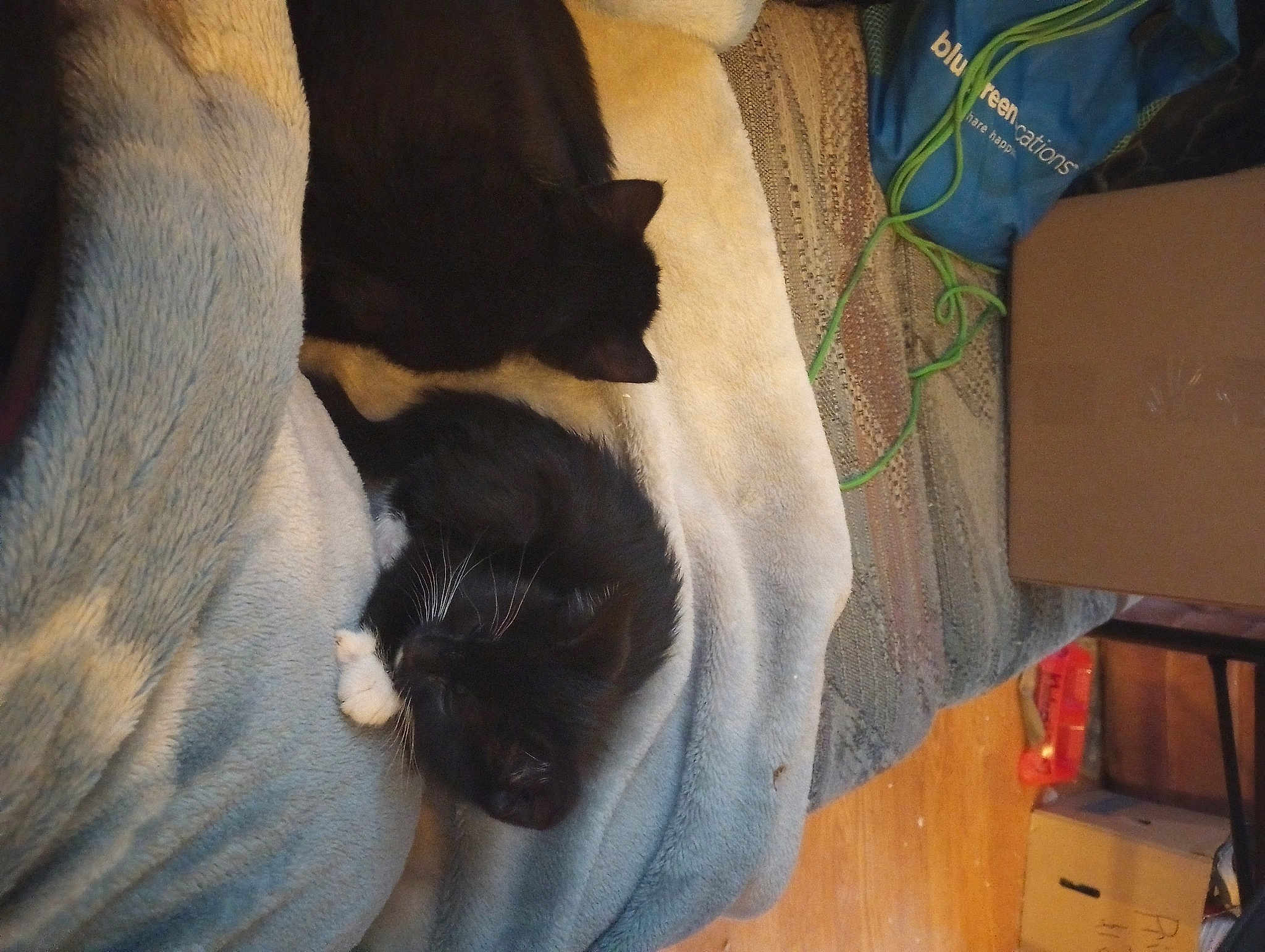 Drogo And Khaleesi