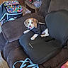 Kooper joined the competition — help win amazing prizes! beagle, black_cushion, black_shirt, brown_furniture, chair, couch, cozy, cute, dog, indoor, leash, living_room, marker_case, markers, pet, puppy, remote_control, sneakers, tongue_out, wooden_floor