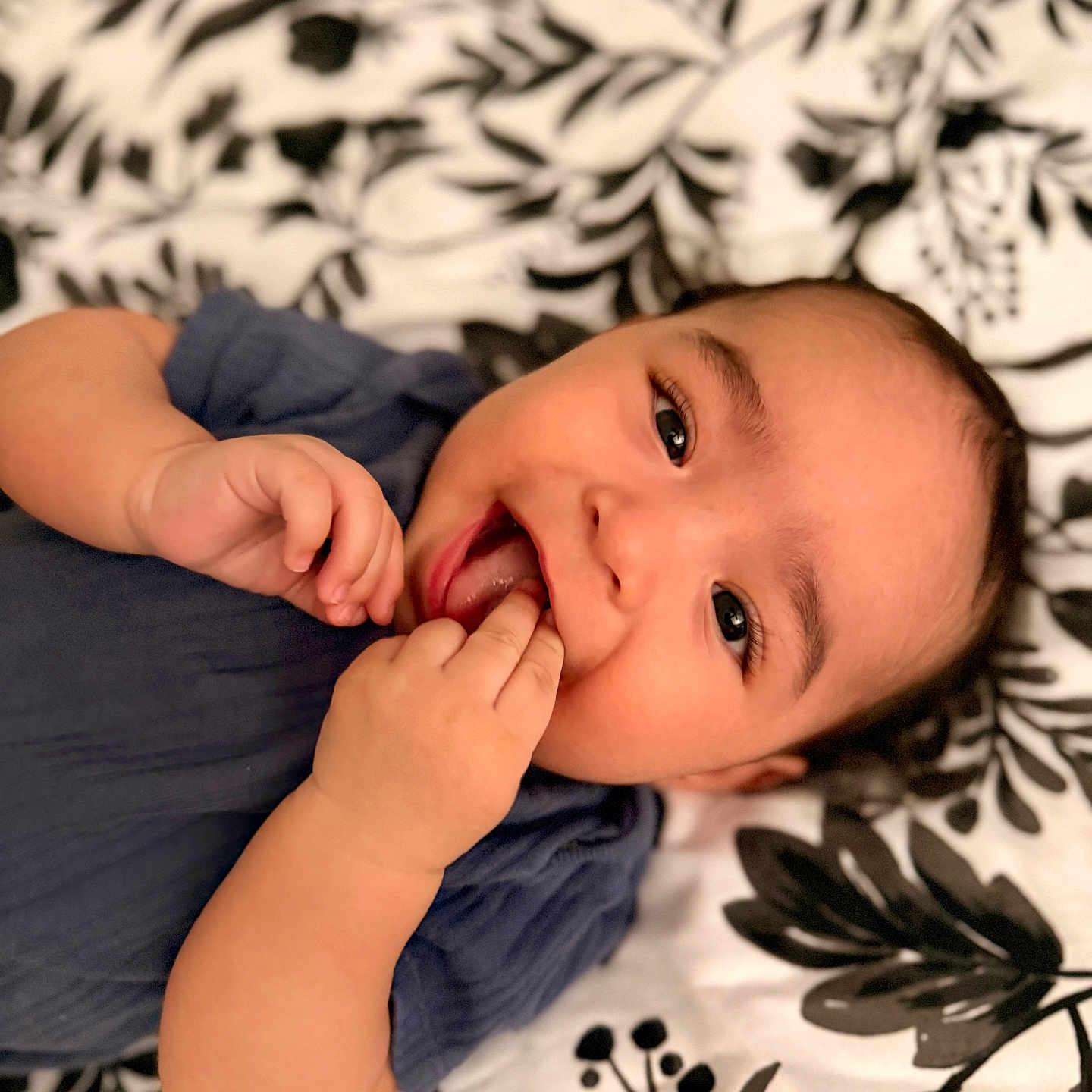 Dezi joined the competition — help win amazing prizes! baby, infant, child, cute, smiling, hands, fingers, face, eyes, lying_down, blanket, pattern, black_and_white, clothing, blue_shirt, portrait, close_up, happy, playful, young