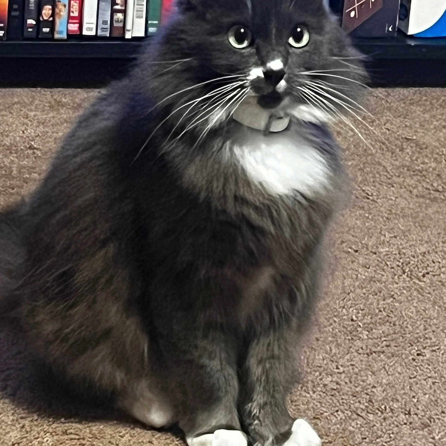 Missy