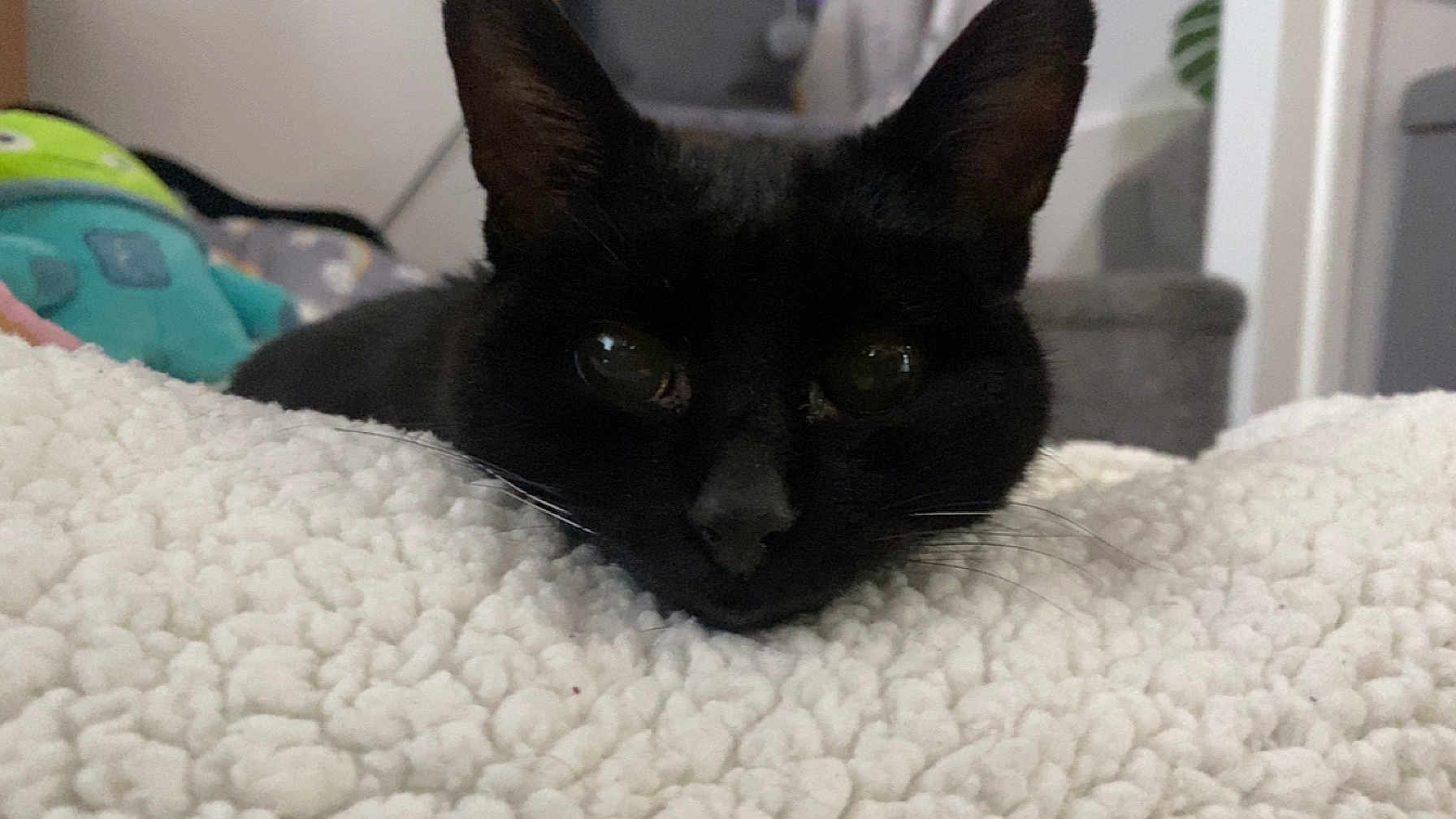 Tilly