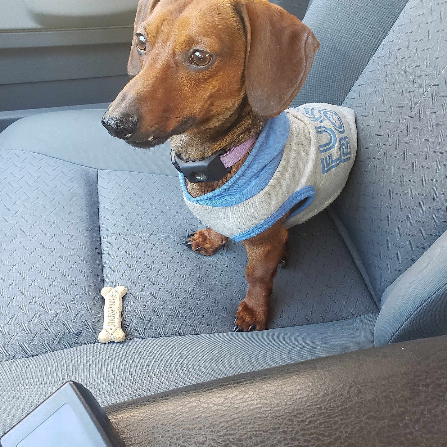 Winston
