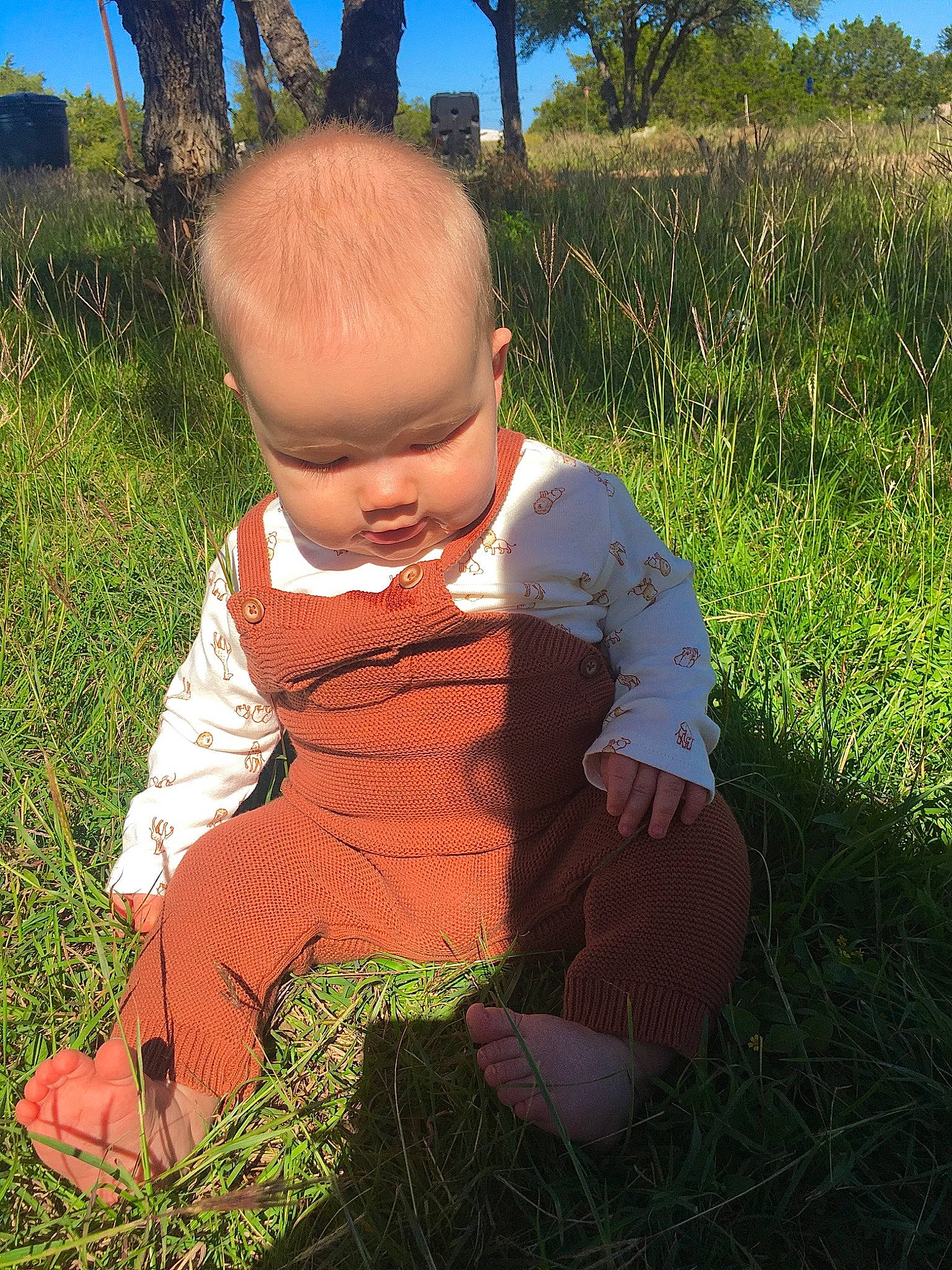 Canaan joined the competition — help win amazing prizes! baby, baby_toddler_clothing, child, electric_blue, garden, grass, grass_family, grassland, happy, landscape, lawn, pattern, people_in_nature, person, plant, prairie, sitting, sky, soil, toddler