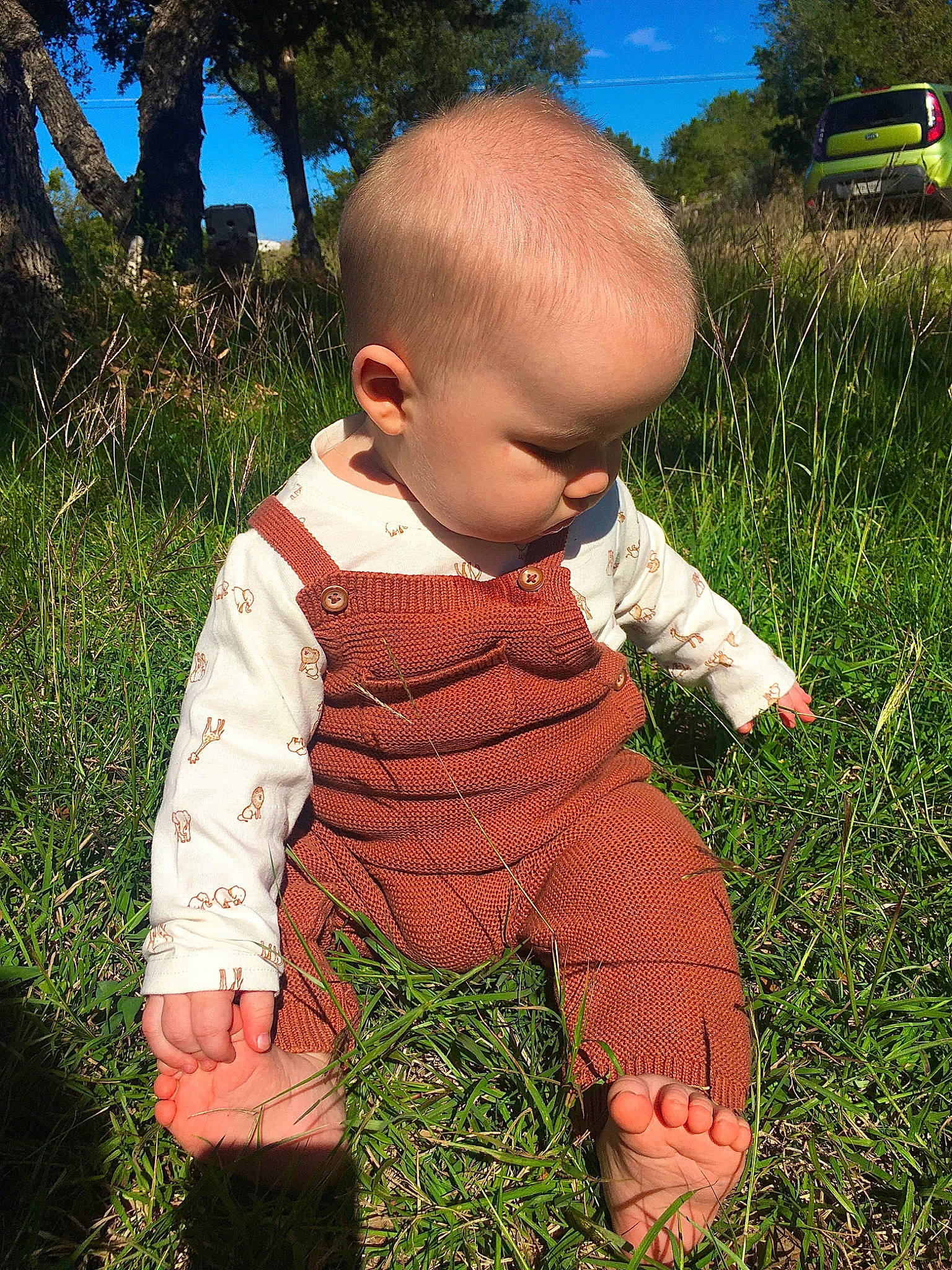 Canaan is registered to the contest to win money with this photo: baby, baby_toddler_clothing, child, garden, grass, grass_family, grassland, happy, leaf, pattern, people_in_nature, person, plant, prairie, sitting, sky, sleeve, soil, toddler, tree