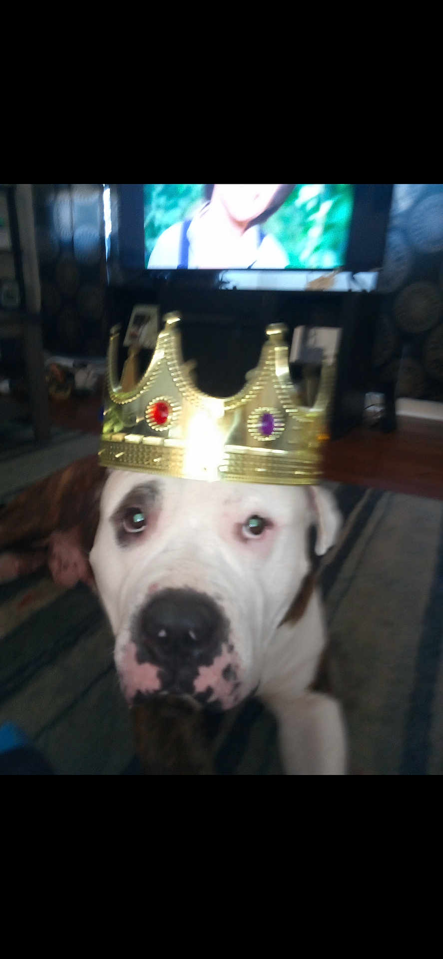 Milo