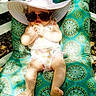 Heather is registered to the contest to win money with this photo: child, fun, girl, green, leg, toddler