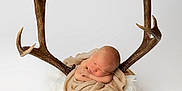 Grady is registered to the contest to win money with this photo: baby, newborn, antlers, deer_skull, blanket, fur, sleeping, wrapped, animal_skull, white_background, studio, portrait, peaceful, resting, nature, contrast, soft_texture, brown, beige, infant