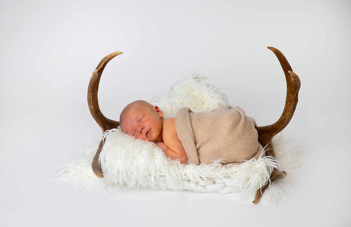 Grady is registered to the contest to win money with this photo: newborn, baby, sleeping, blanket, fluffy, cushion, antlers, wood, soft, cozy, rest, infant, wrapped, peaceful, cute, portrait, studio, white_background, child, resting