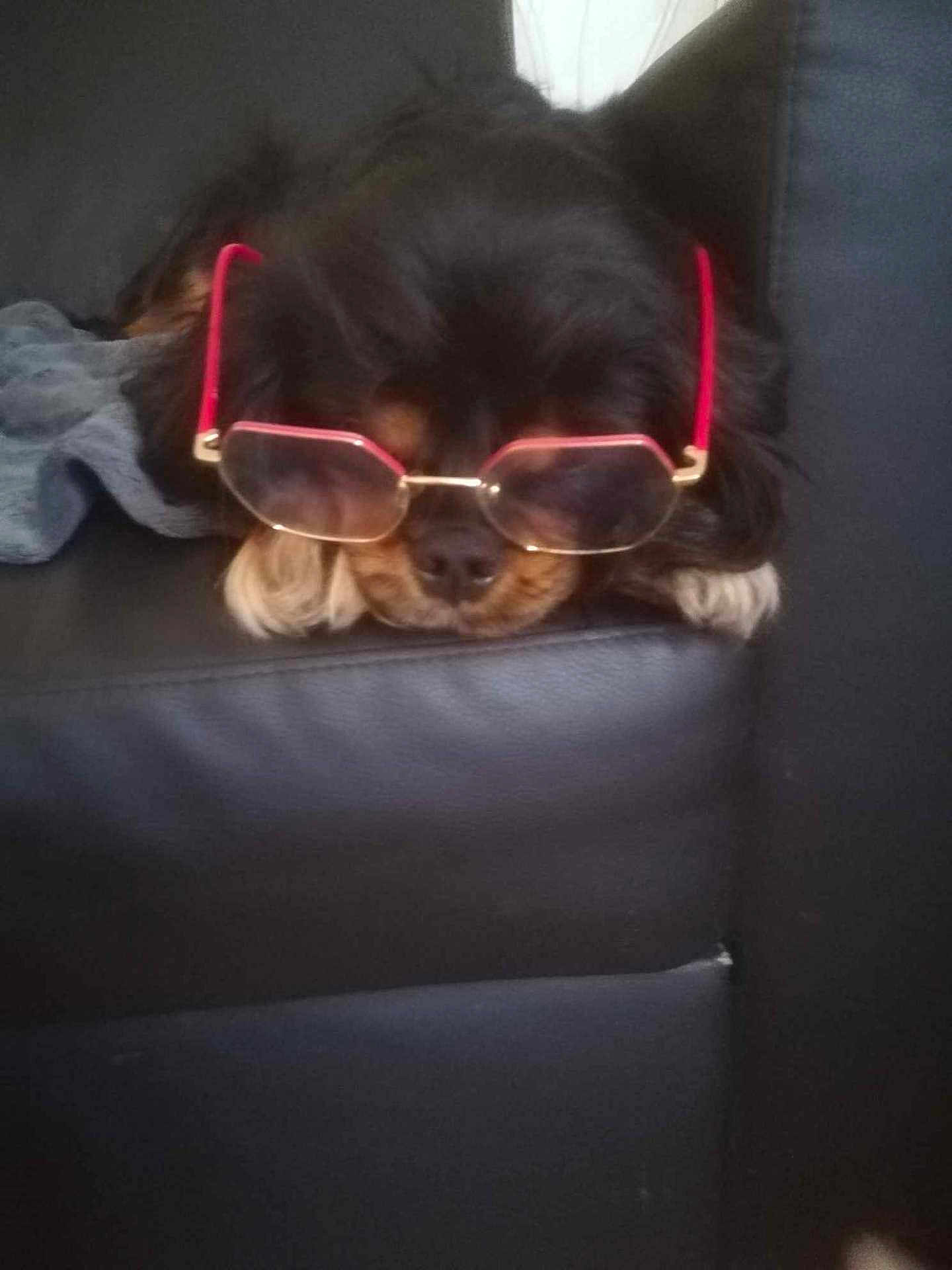 Bella