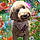 Sadie