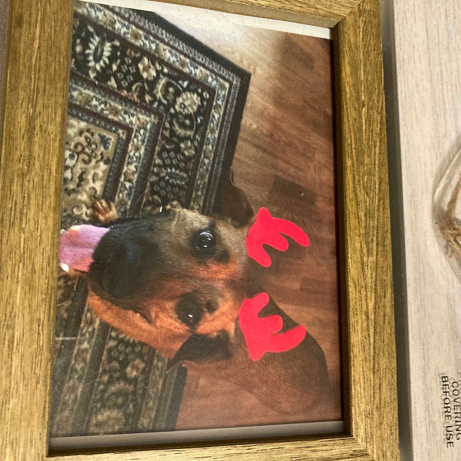 Sammy