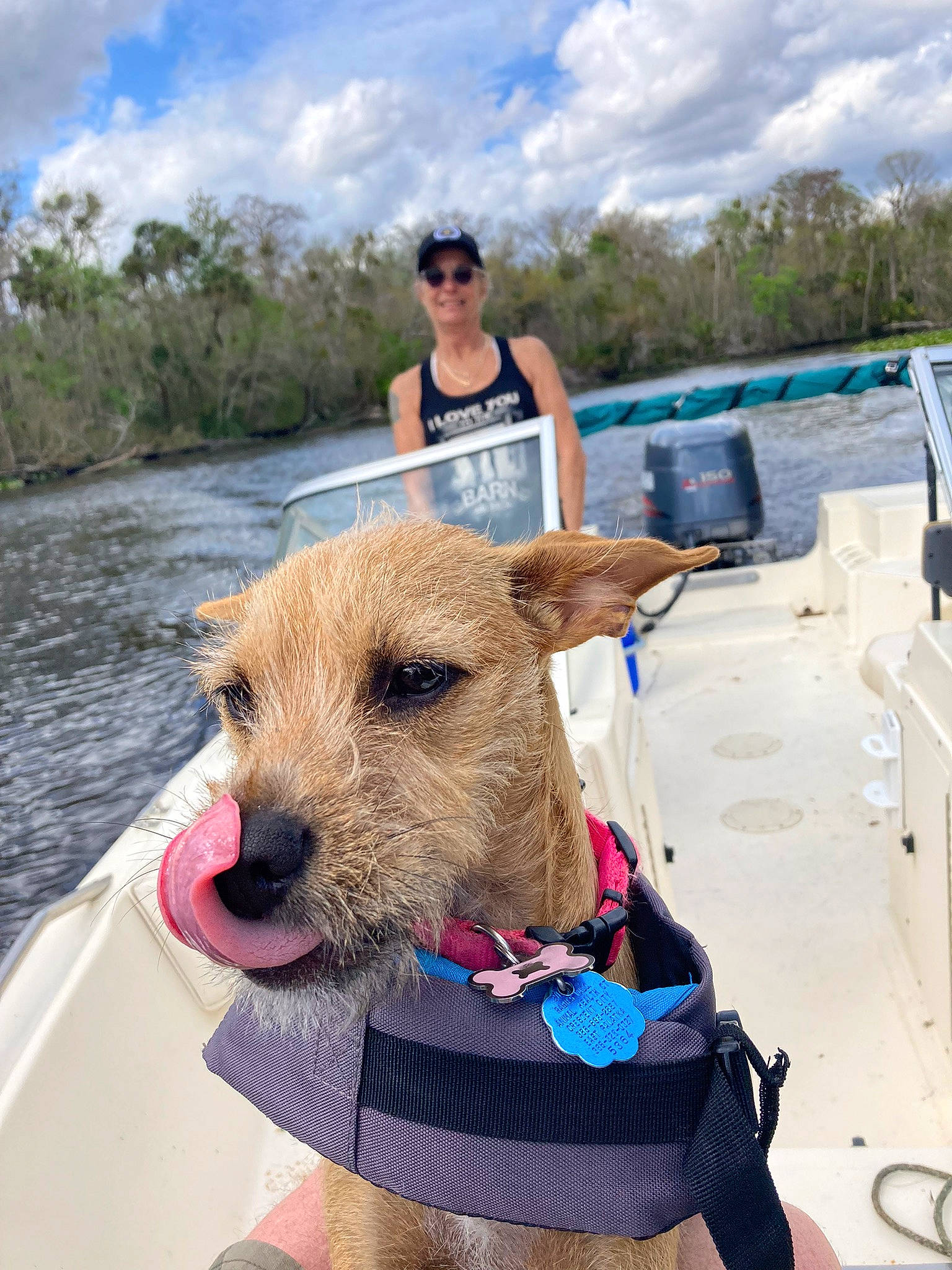 Ali is registered to the contest to win money with this photo: boat, boats_and_boating_equipment_and_supplies, carnivore, cloud, collar, dog, dog_breed, dog_collar, fawn, goggles, lake, leisure, pet_supply, sky, sunglasses, vehicle, vertebrate, water, watercraft, working_animal