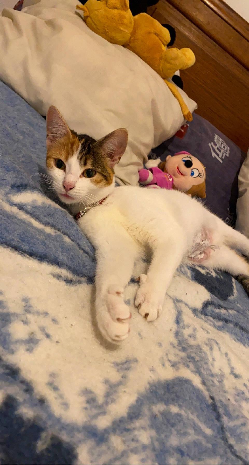 Nala
