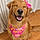 Zoey