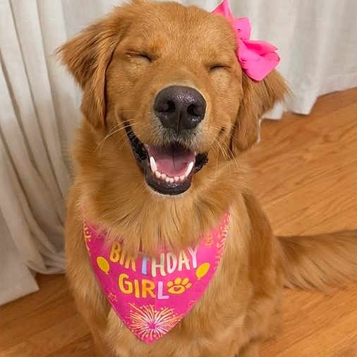 Zoey