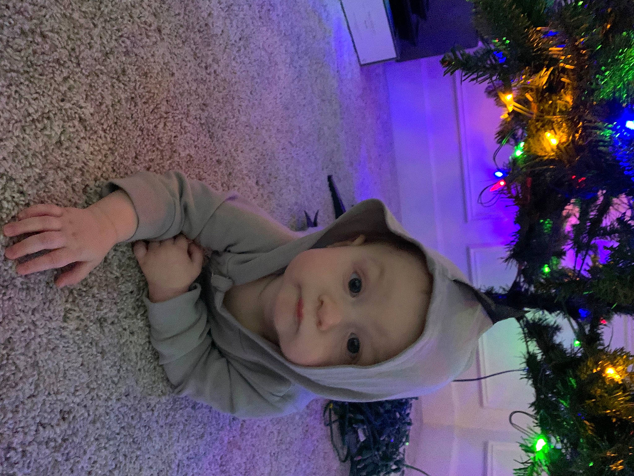 Kameron joined the competition — help win amazing prizes! baby, christmas, christmas_decoration, christmas_ornament, christmas_tree, conifer, event, evergreen, hat, headwear, holiday, light, ornament, person, plant, purple, room, smile, toddler, tree