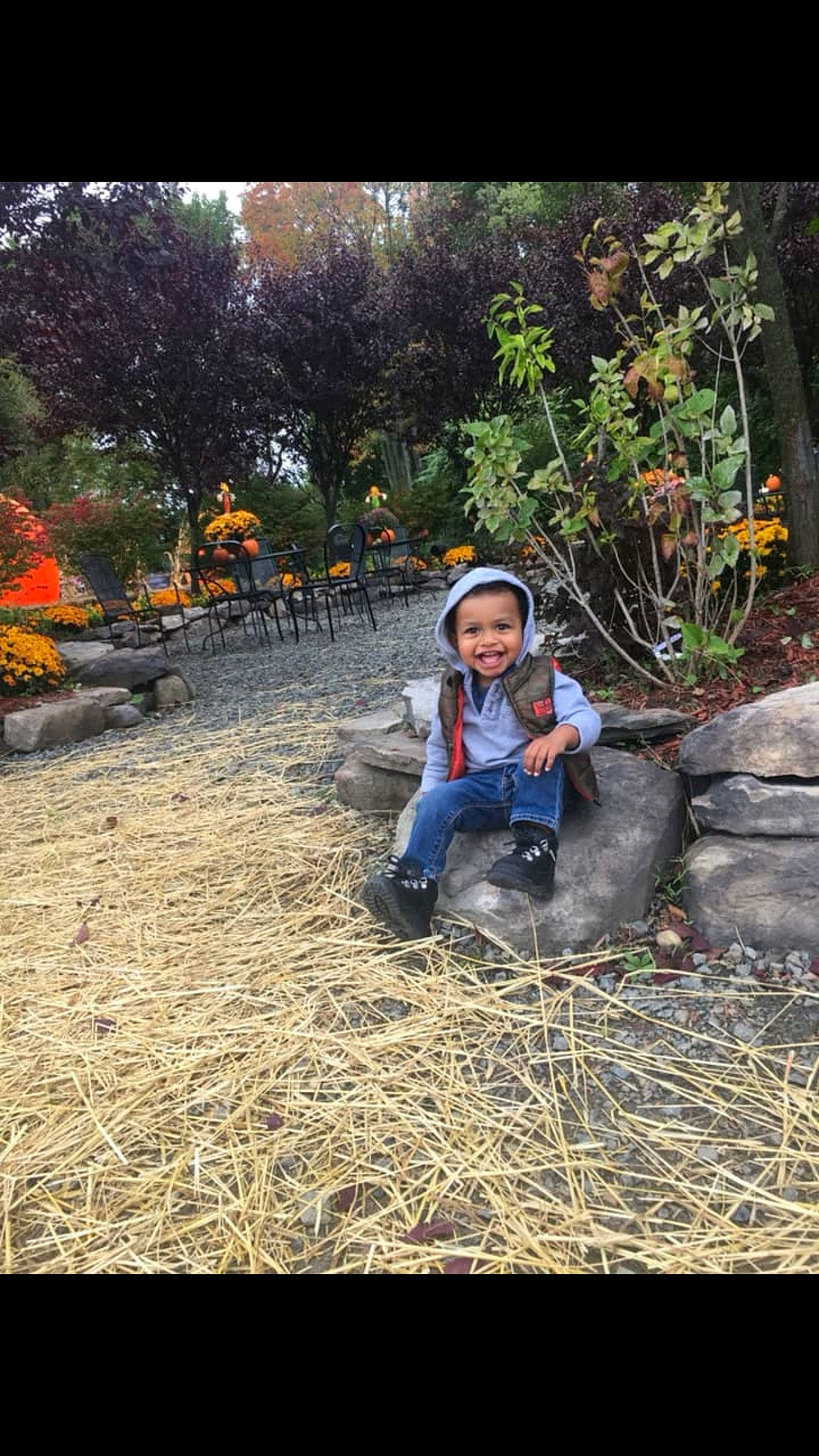 Jaycion joined the competition — help win amazing prizes! autumn, fun, garden, girl, grass, grass_family, joy, jungle, landscape, leaf, leisure, nature, person, plant, recreation, soil, sunlight, tree, vacation, vertebrate