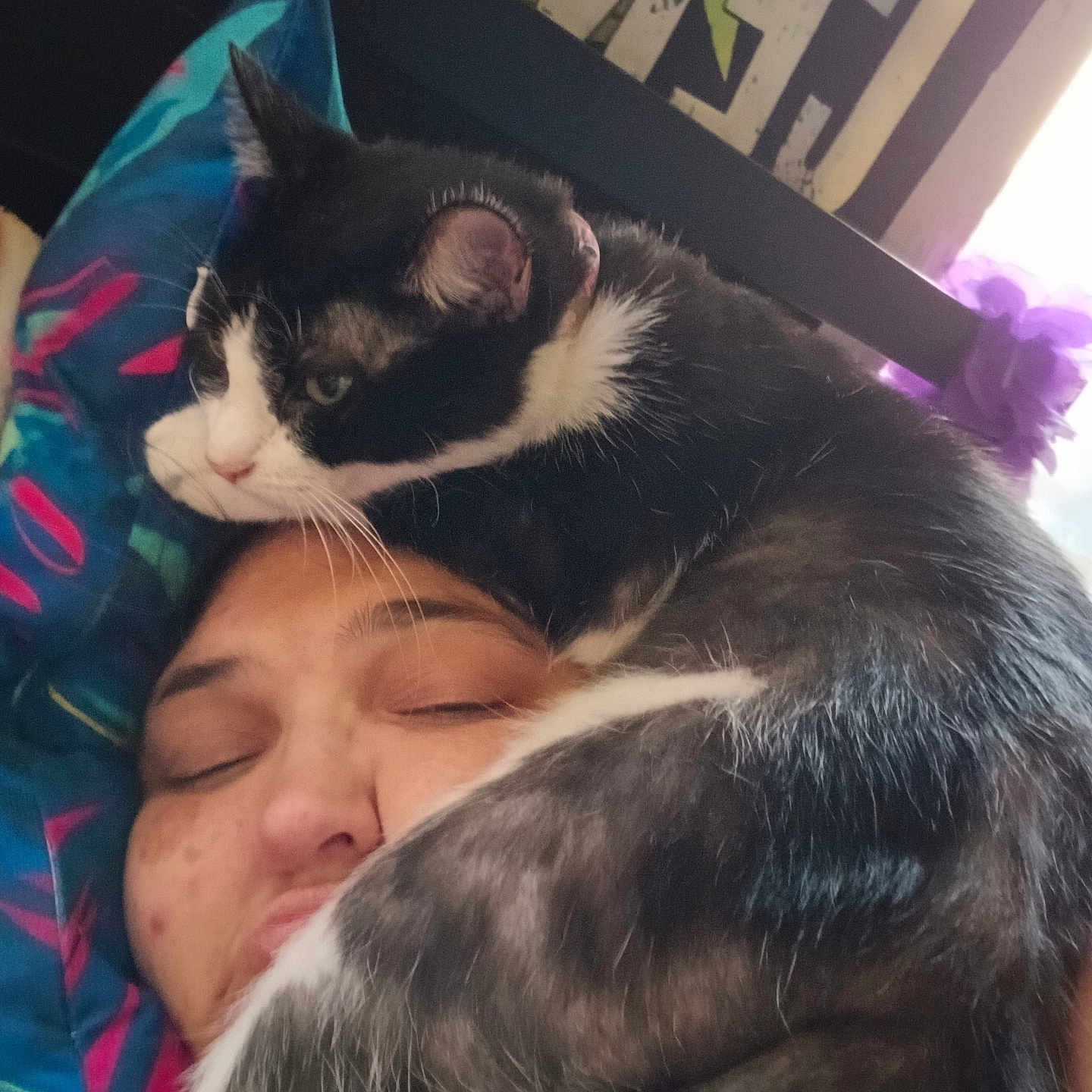 Oreo