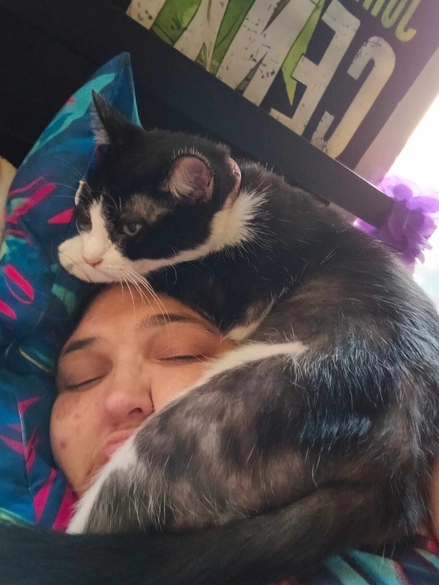 Oreo