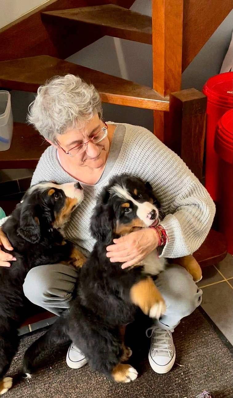 Scott participe au concours pour gagner de l'argent avec cette photo : bored, canidae, carnivore, cavalier_king_charles_spaniel, chair, comfort, companion_dog, dog, dog_breed, eyewear, fur, lap, sitting, smile, snout, spaniel, sporting_group, toy_dog, working_animal, working_dog