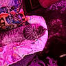 cat, sleeping, tabby, blanket, pillow, dog, dark_fur, purple_light, cozy, indoor, resting, patterned_blanket, decor, animal_companions, home, cute, pets, soft_light, relaxation, nap