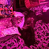 cat, tabby_cat, black_cat, bed, blanket, pillow, mushroom_pattern, skull_pattern, indoor, feline, resting, sleeping, cozy, purple_light, pink_light, animal, pet, cute, relaxing, furry