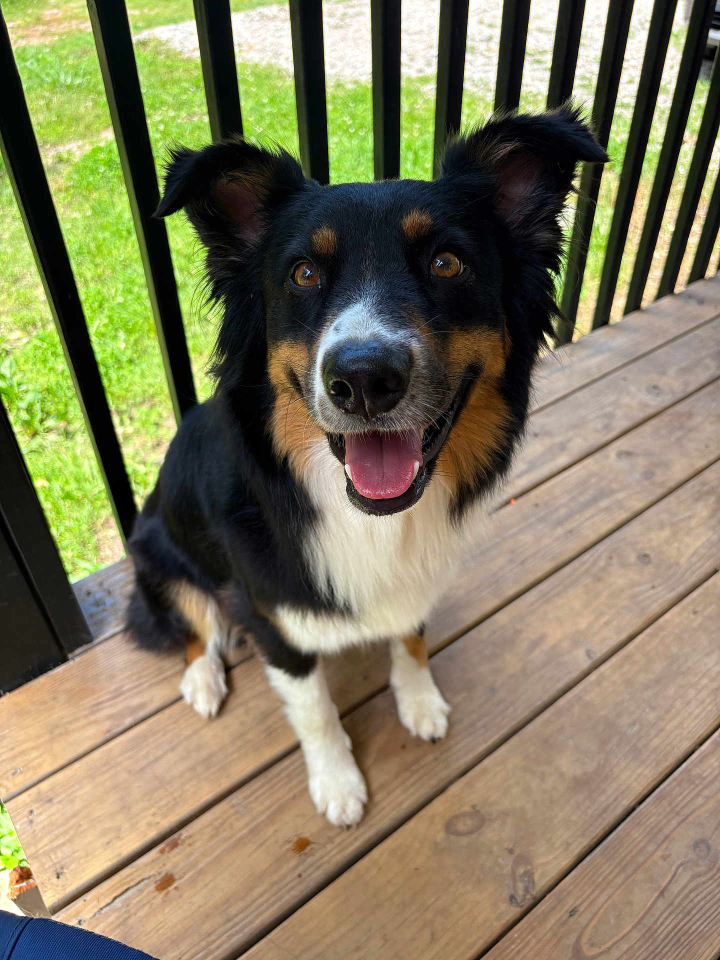 Kimber