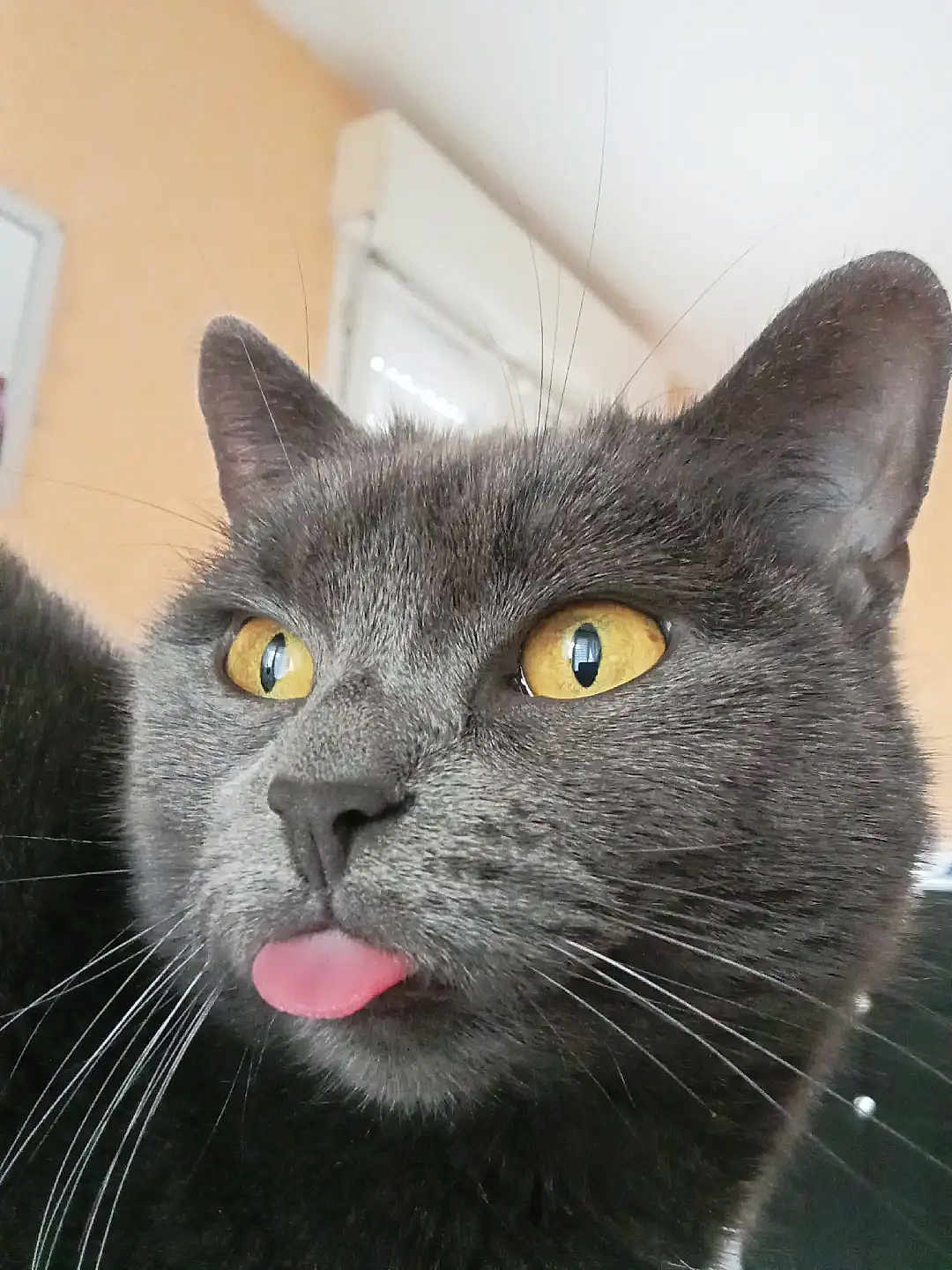 Moumoune