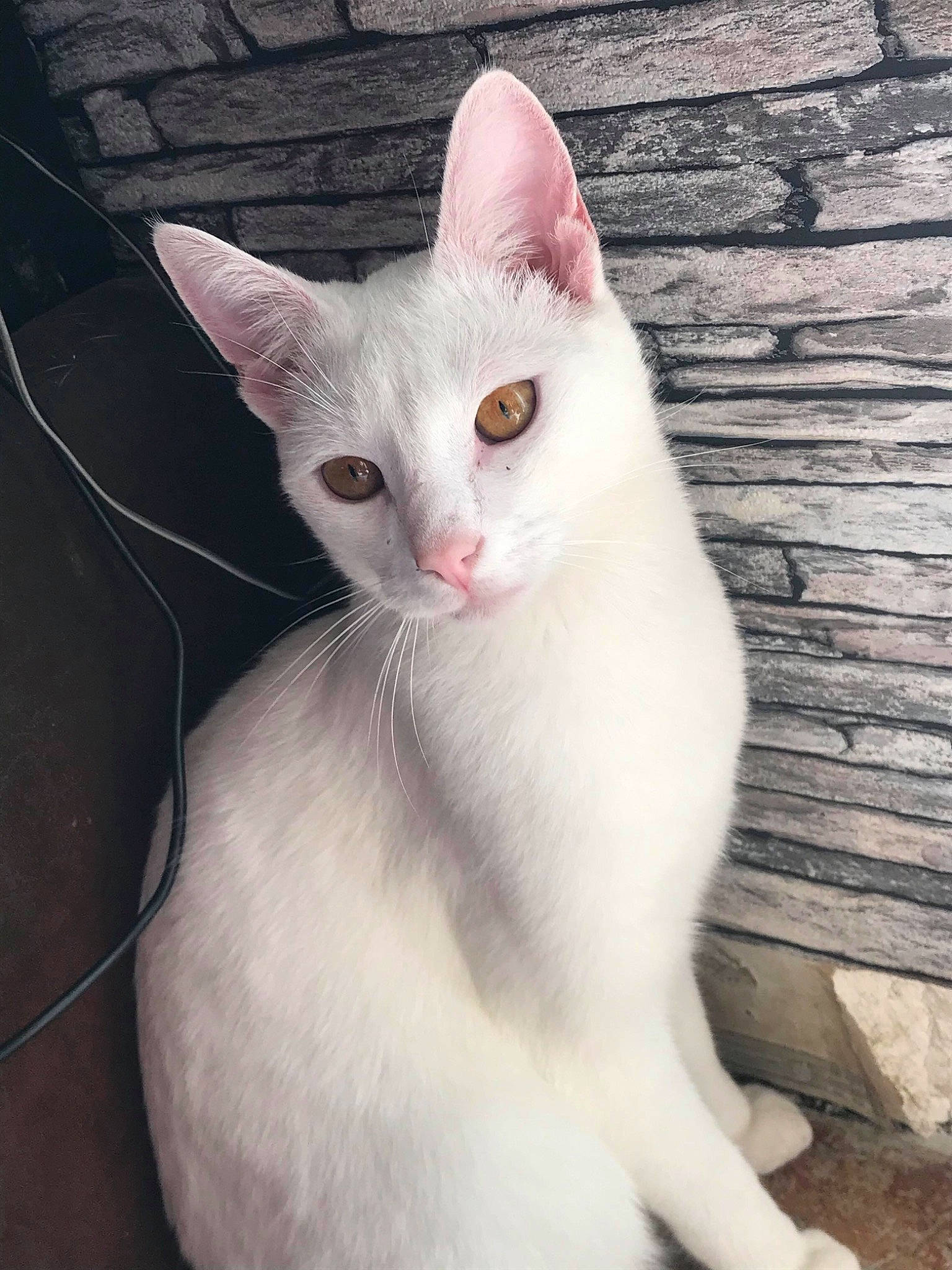 Félix