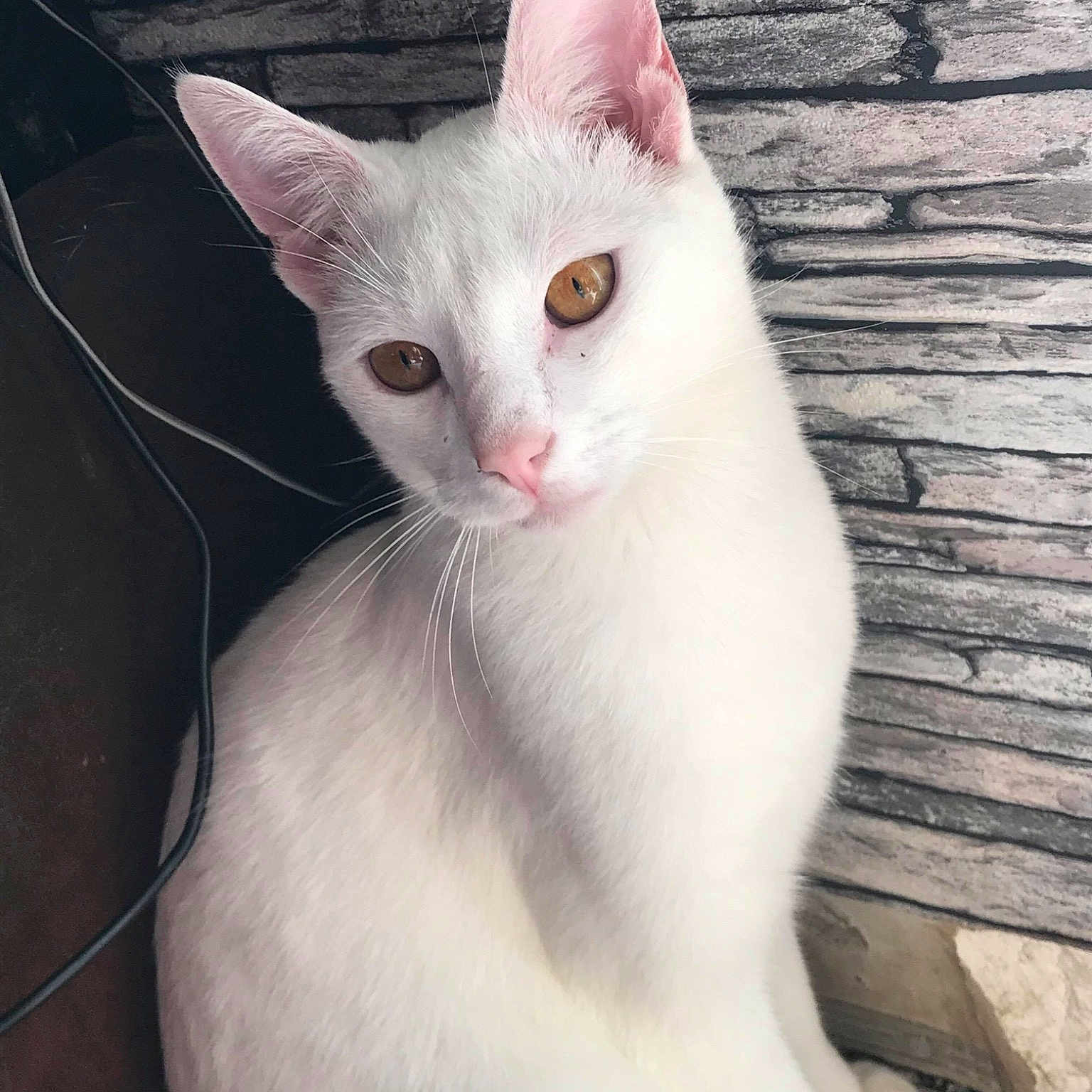 Félix