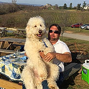Brooklyn is registered to the contest to win money with this photo: man, dog, fluffy_dog, picnic_table, quilt, outdoor, vineyard, grass, trees, sunlight, sunglasses, cooler, fire_pit, cars, rural, nature, relaxation, casual, daytime, scenery