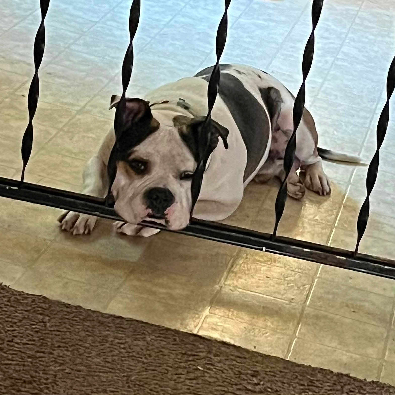 Petey