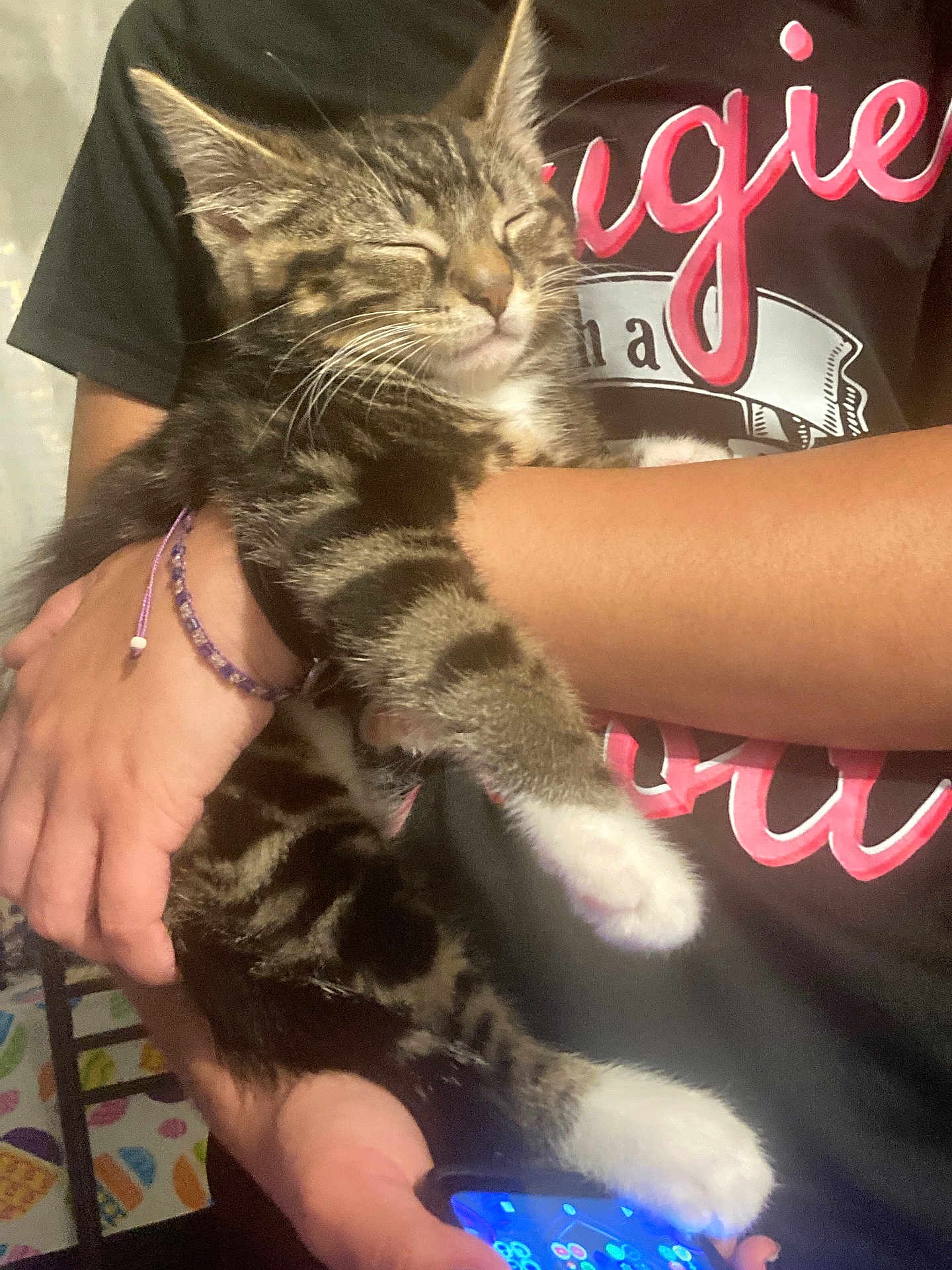 Tigger is registered to the contest to win money with this photo: kitten, cat, tabby, sleeping, arms, person, bracelet, phone, hand, black_shirt, indoor, closeup, pet, feline, striped, white_paws, relaxed, cute, young_cat, resting
